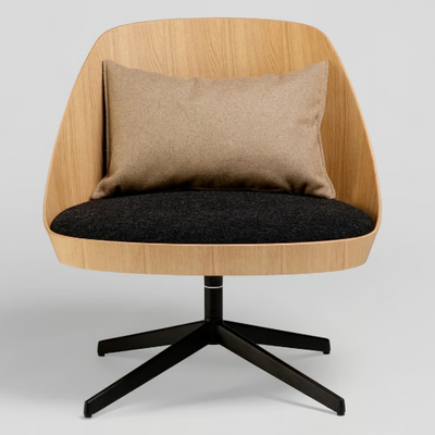 KAIAK-Easy-chair-ENEA-382923-rel9ecab7d0.jpg