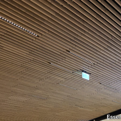 AREA-Essenzialed-432958-rel4148fddd.jpg
