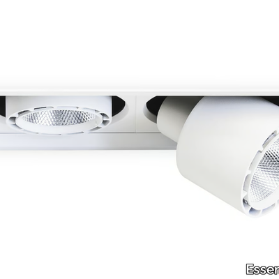SPOTTONE-2-Essenzialed-432835-rel64701ce.jpg