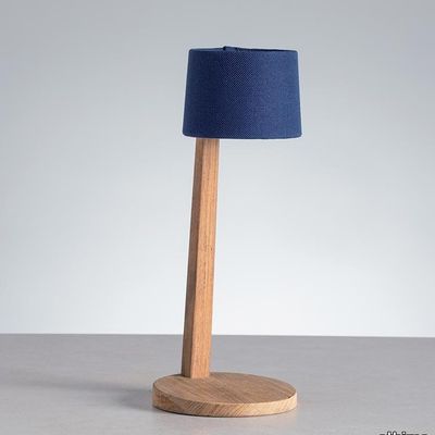 Gaia_Lamp_MSadler_blue_side.jpg