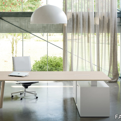 WOODS-Executive-desk-FANTONI-298002-rel1433bd92.jpg