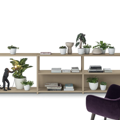 frame-bookcase-fantin-533104-relfc934ca.jpg