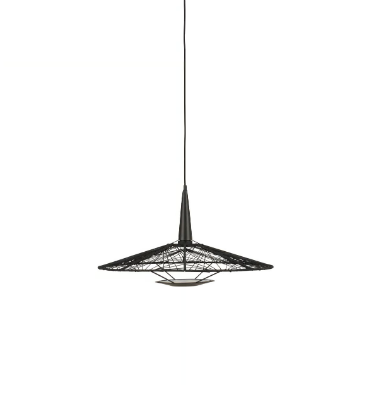 carpa-forestier-paris-438058-rela58585c.jpg