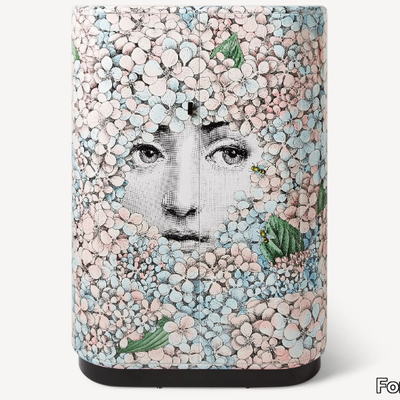 ortensia-fornasetti-602299-relab91eefe.jpg