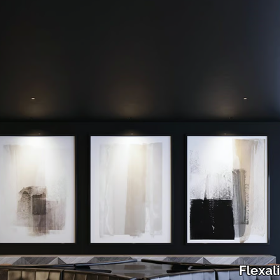 FRANNY-10-Flexalighting-602243-rele683f008.jpg