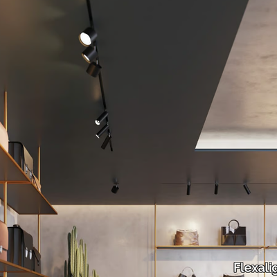 LAD-T10-Flexalighting-602313-rel8f39fb30.jpg