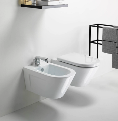 norm-50-wall-hung-bidet-gsi-ceramica-220321-rel7b592cf4.jpg