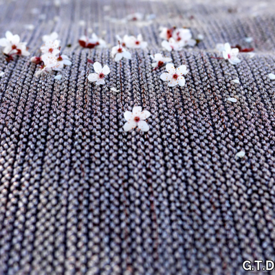PAGLIETTA-Rug-G-T-DESIGN-331379-rel8674237e.jpg