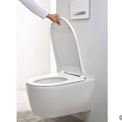 toilet-geberit-465623-rele3bc692e.jpg