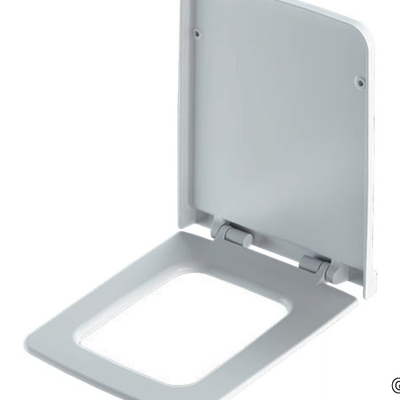 XENO²-Toilet-seat-Geberit-503782-rel96d2d9b5.jpg