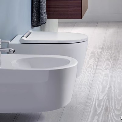 bidet-geberit-465624-relf7259ede.jpg