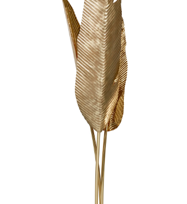 BANANAS-Ginger-Jagger-286898-rel2fe19698.jpg