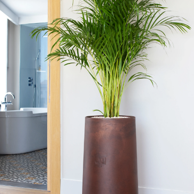 NOVO-High-plant-pot-Hobby-Flower-290959-rel42ccafed.jpg