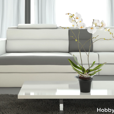 ADEL-Planter-Hobby-Flower-290968-rel724f9ad4.jpg