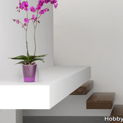 LINA-Hobby-Flower-290981-relda640cce.jpg
