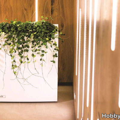 STEEL-PLUS-Plant-pot-with-automatic-watering-Hobby-Flower-de-Espana-291142-rela77567db.jpg
