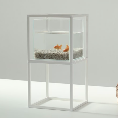 IPOT-AQUARIUM-iPot-583450-reldbc65d5d.png