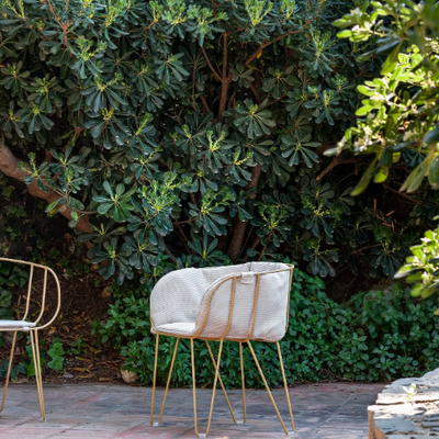 OLIVO-Chair-with-armrests-iSimar-537925-relf523ed31.jpg