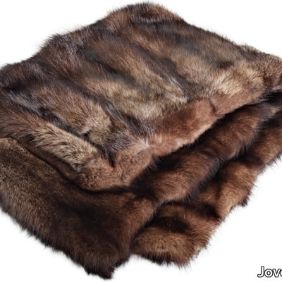 fisher-jover-valls-616371-reld2cc4300.jpg