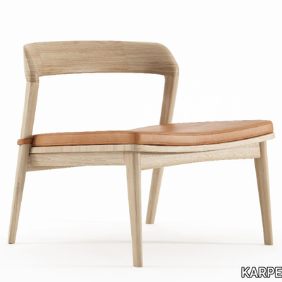 GRASSHOPPER-Easy-chair-with-integrated-cushion-KARPENTER-577707-rel8420f35d.jpg