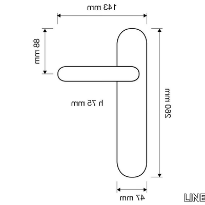 LINEA-CALI_CAVITY_Ibd9YJBFwL.jpeg