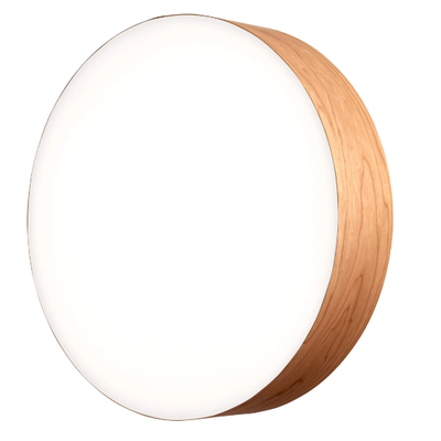 GEA-Wall-ceiling-lamp-LZF-542839-rel5fdd9299.jpg