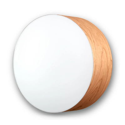 GEA-Wall-ceiling-lamp-LZF-542839-rel88e99fc0.jpg