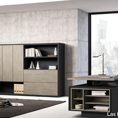ELITE-Office-storage-unit-Las-Mobili-397463-rel6fd5a9c.jpg