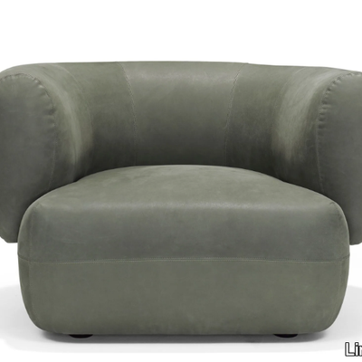 ARP-Poltrona-Linteloo-529259-reld2f43dd3.jpg