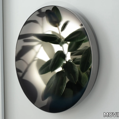 CONCAVE-CONVEX-MIRROR-MOVIMENTO-618470-rel196e9766.jpg