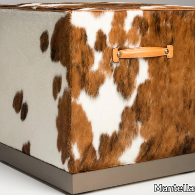 fedro-mantellassi-design-529371-rel8db64ac.jpg