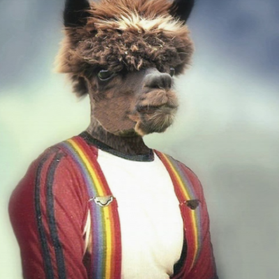anthony-alpaca-mineheart-449763-rel475bab5f.jpg