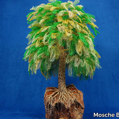 Mosche-Bianche_SUA-MAESTA_aMGNQnnxm4.jpeg