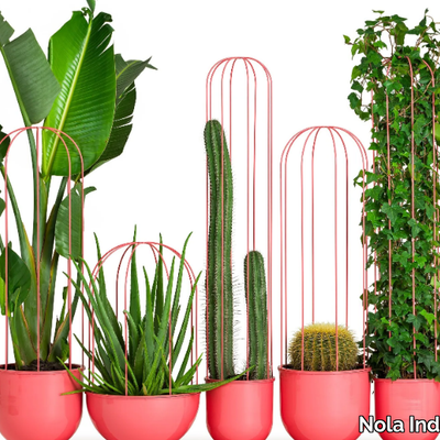cacti-planter-plant-pot-nola-industrier-366014-relf54c181a.jpg