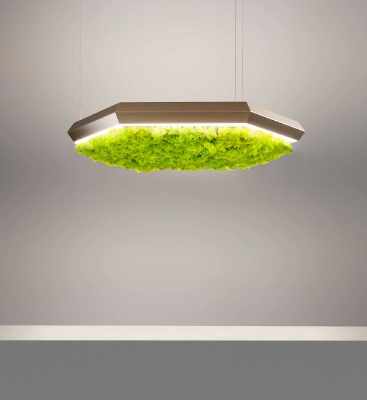 EXAGON-SILENCE-GREEN-Olev-385581-rel1e0e290c.jpg