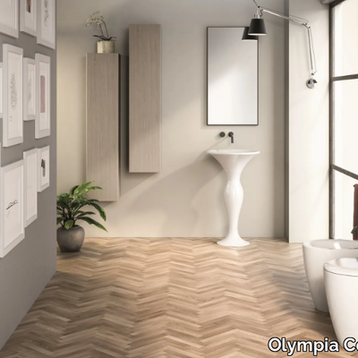FORMOSA-2-0-Bidet-Olympia-Ceramica-467068-rel95bd08f3.jpg