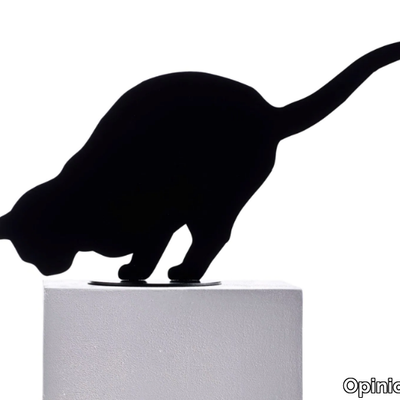 OMBRES-DE-CHATS-Opinion-Ciatti-296395-relcdaa0f5b.jpg