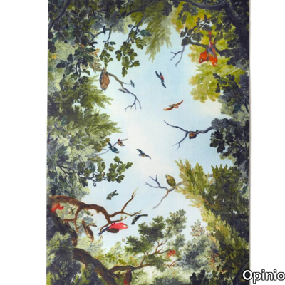 cielo-opinion-ciatti-389602-rel3a30854d.jpg