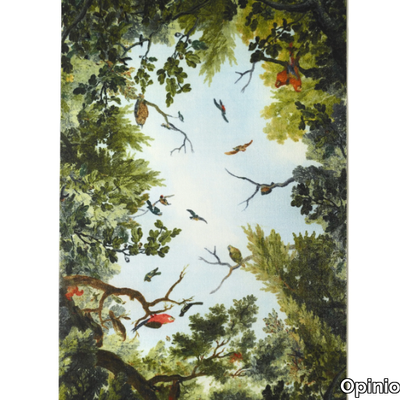 cielo-opinion-ciatti-389602-rele0eb9093.jpg