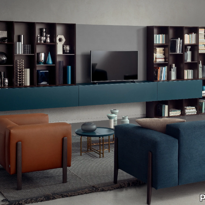 people-bookcase-pianca-445441-rel51fdb934.jpg