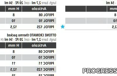 PROFINAL-PROGRESS-PROFILES-145300-dimc03a3b19.jpg