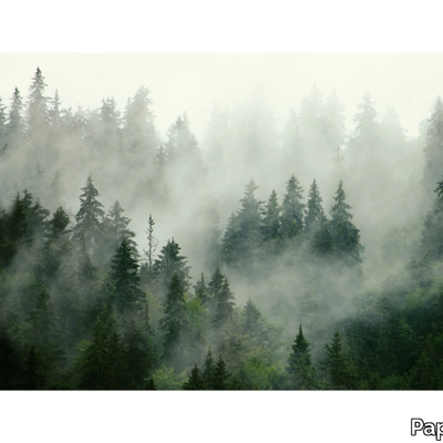 BOREAL-FOREST-PaperMint-620143-rel39c1232c.jpg