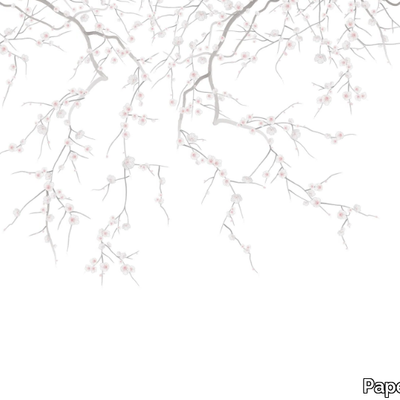 SAKURA-PaperMint-620351-relefb5650b.jpg