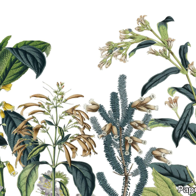 VICTORIAN-GARDEN-PaperMint-620385-rel1824534a.jpg