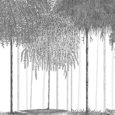 WOODS-PaperMint-620410-rela53601f8.jpg