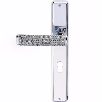 dream-door-handle-on-back-plate-pasini-metals-productions-320356-rel1865f32e.jpg