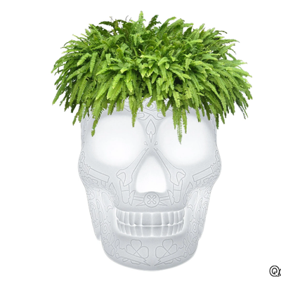 MEXICO-Planter-with-light-Qeeboo-300288-rel5cfef496.jpg
