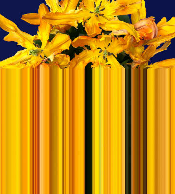 GLITCH-Qeeboo-549739-rel4188494d.jpg