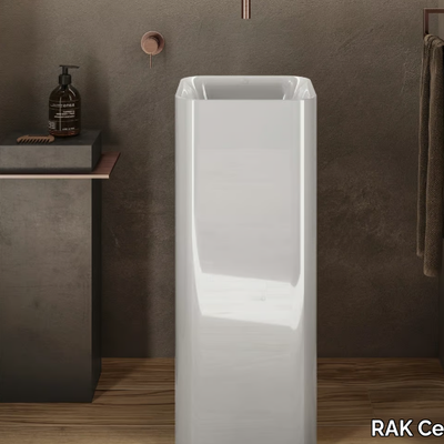 freestanding-washbasin-rak-ceramics-414735-relb21242c5.jpg