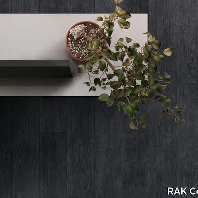 sugi-ban-rak-ceramics-414724-rel5643cadb.jpg